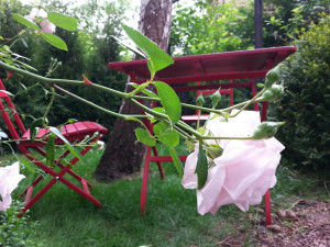 gartenwohnung_sitzgelegenheit